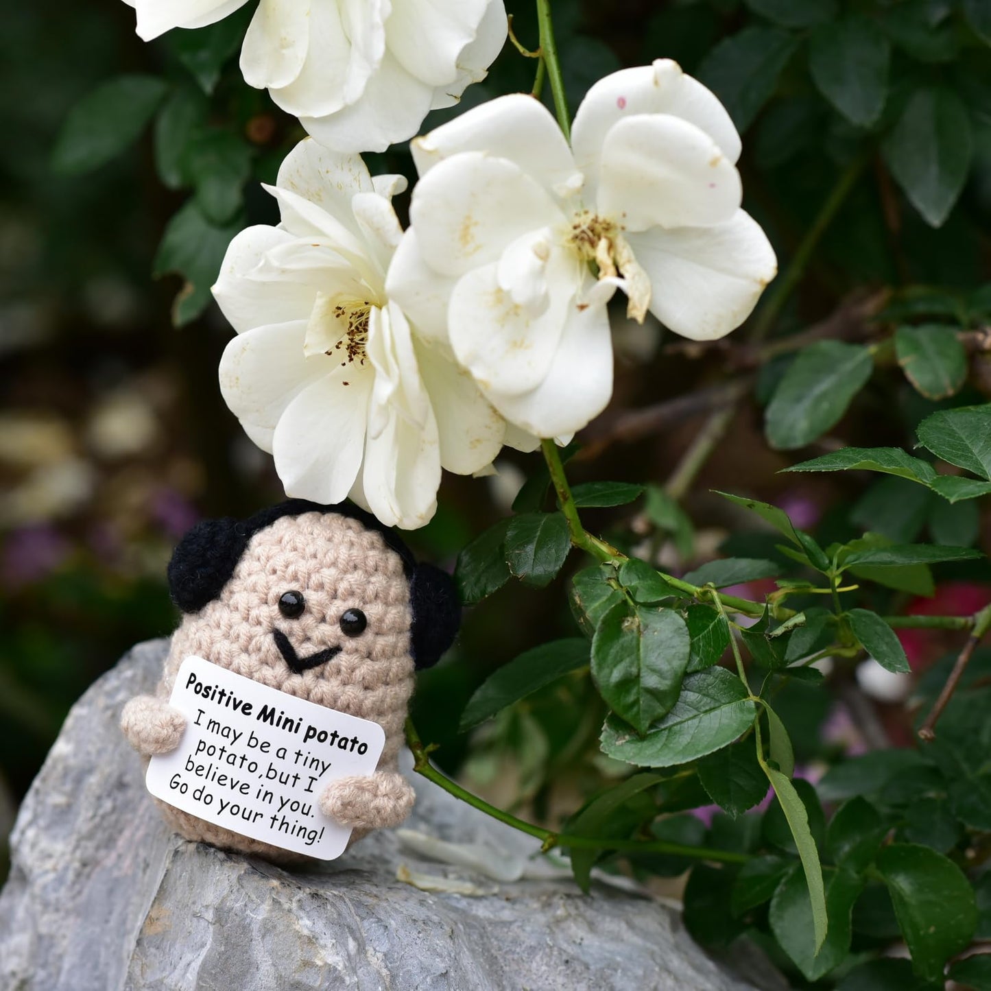 Qyqkfly 1 Pcs Mini Cute Funny Positive Life Bunny Creative Knitted Animal Holding Card Crochet Easter Birthday Christmas Girls G