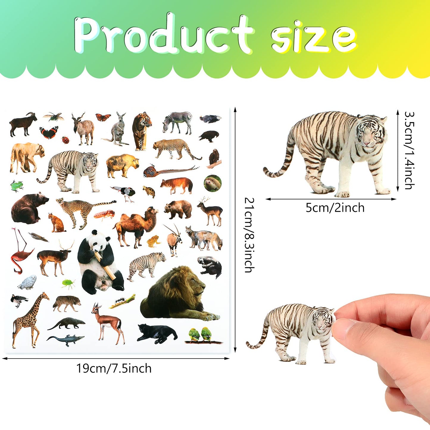 800 Pieces Jungle Animal Stickers Realistic Zoo Animal Stickers Safari Animal Stickers Sea Animal Stickers For Water Bottle Scrapbook Class Rewards Sea Animal Party Supplies (Jungle Animal)