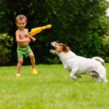 Rubber Chicken Screaming Chicken Squeaky Chicken Noise Shrilling Shrieking Squawking Chicken Noisemaker Novelty Gadget for Dogs Pets (11.8 Inch 10 Packs)