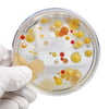 Steve Spangler'S Growing Bacteria Science Experiment Kit