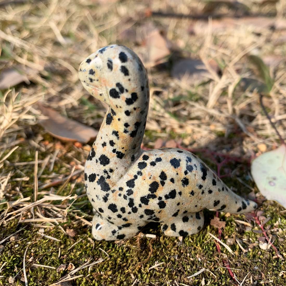 Nuzujx Hand Carved Gemstone Healing Crystal Dinosaur Figurine Collection Decor With Gift Box (Dalmatian Jasoer)