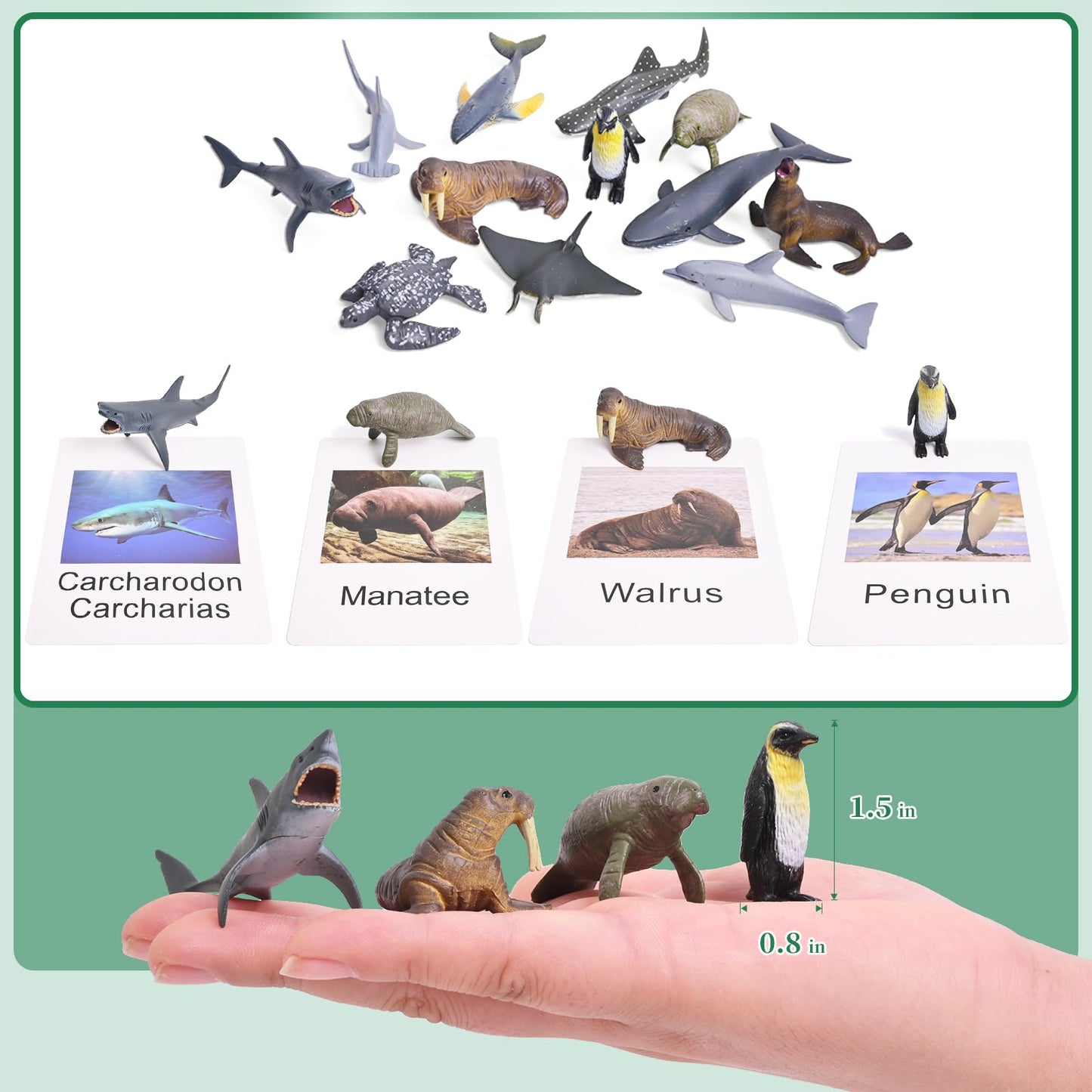 24 Animal Figurines - Educational Toys with Matching Flash Cards for Kids (Zoo & Sea Animals)
