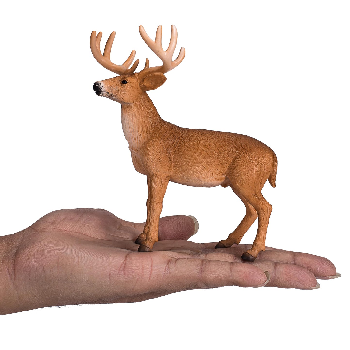 Mojo White Tailed Deer Buck Realistic International Wildlife Hand Painted Toy Figurine
