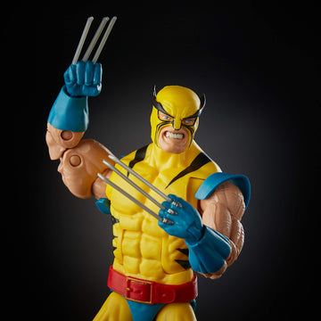 Marvel Legends 80Th Anniversary Wolverine And Hulk 6-Inch Action Figures - Exclusive