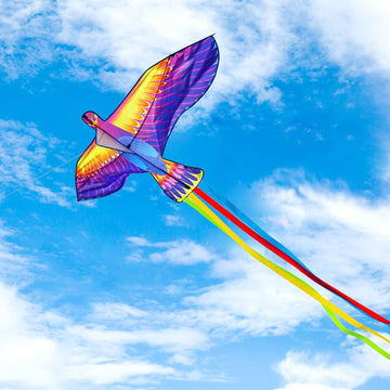 Mints Colorful Life Large Phoenix Bird Kite For Kids Adults, Easy To Fly Single Line Beach Kite, Comes With Kite Handle And 300F