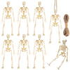 Dulefun 8Pcs Skeletons Halloween Decorations 6 Inch Small Skeletons Figurines Mini Skeletons For Halloween Indoor Outdoor Gravey
