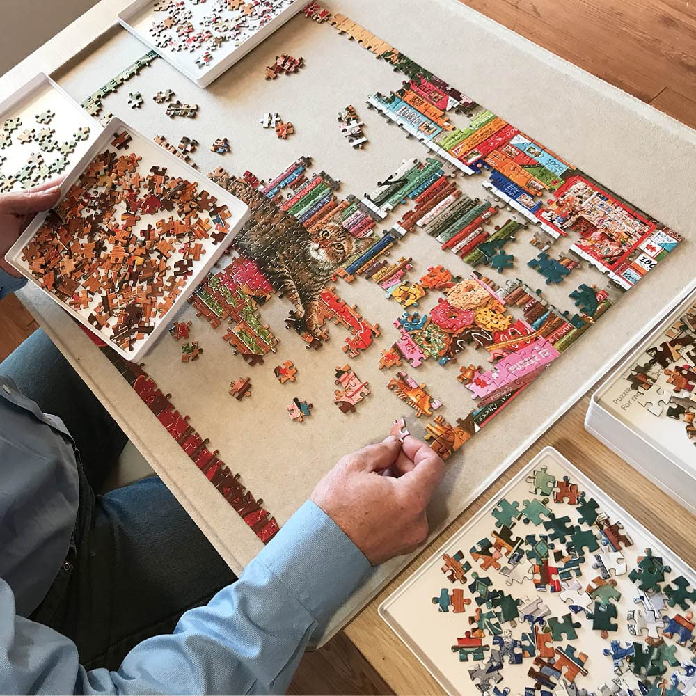 Cat Puzzle 500 Pieces Puzzles For Adults Cats Jigaw Puzzle Bookshrlf Books Puzzle In A Puzzle For Cat Lovers