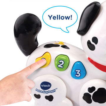 VTech Pull and Sing Puppy - Multicolor Toy, 4.21 x 7.87 x 6.69 inches, Plastic, Model 80-502800