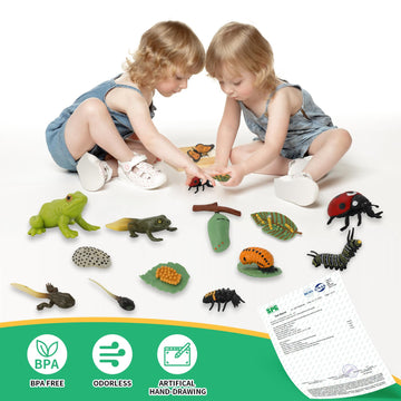 Montessori Life Cycle Learning & Education Toys - Plastic Insect Ladybug, Monarch Butterfly, And Tadpole-To-Frog Kit For Kids, P