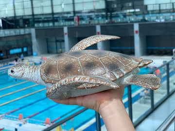 Gemini&Genius Sea Turtle Toys Sea Animal Action Figure, Sea Turtle Plastic Toy, Great For Kids Bath Toys, Swimming Toys, Beach Toys And Perfect Cake Coppers, Garden Decor (10 Inches)