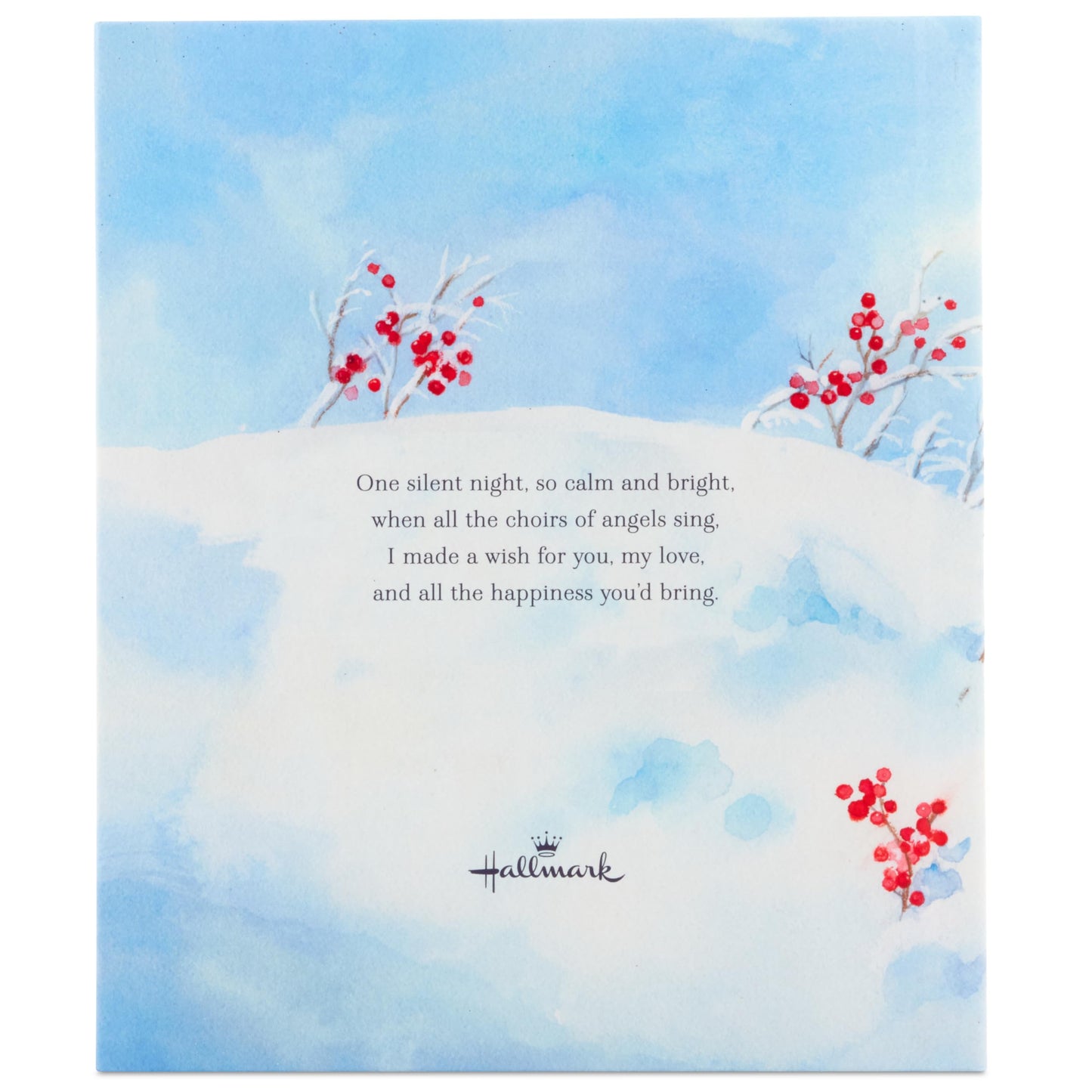 Hallmark Recordable Book For Children (A Christmas Wish For My Grandchild)