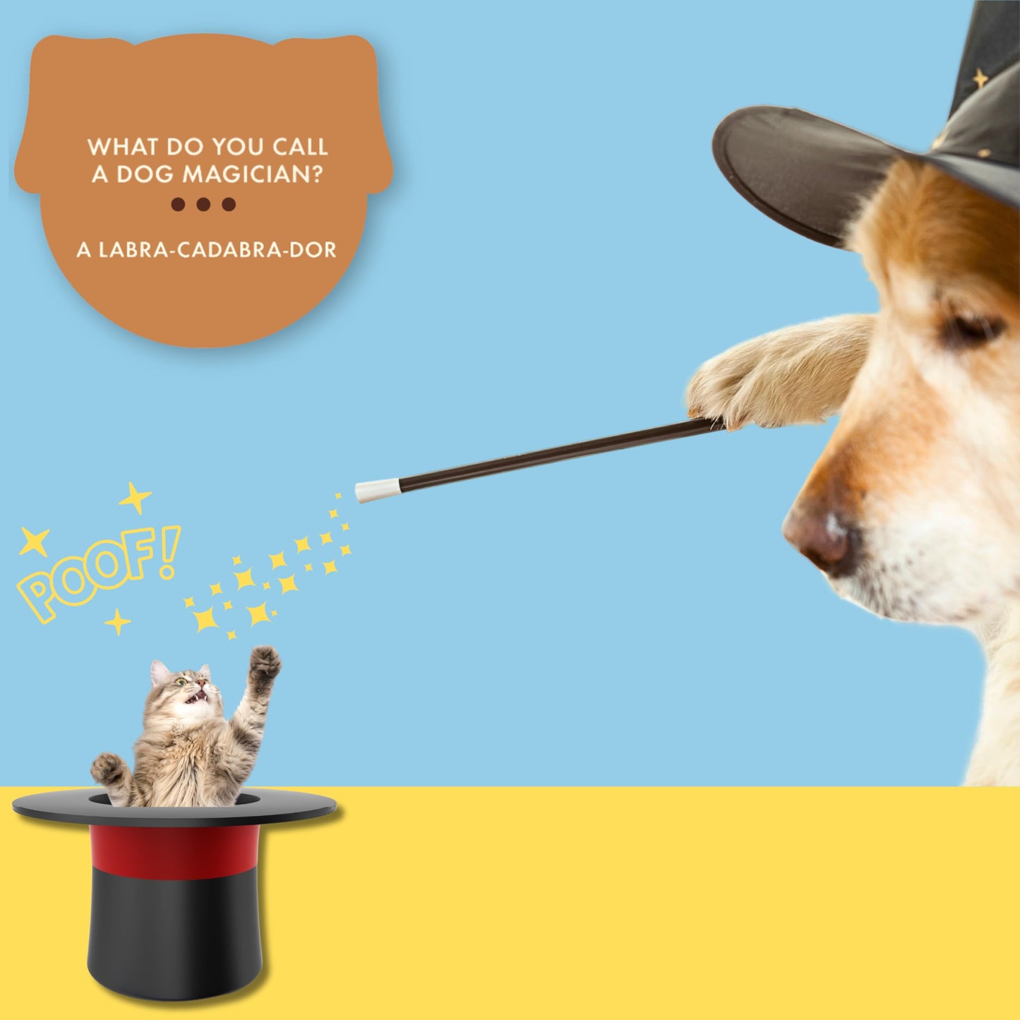Ridley’S Dog Joke Cards – Includes 100 Jokes For Kids And Adults, Funny Jokes For Family-Friendly Fun – Makes A Great Gift Idea
