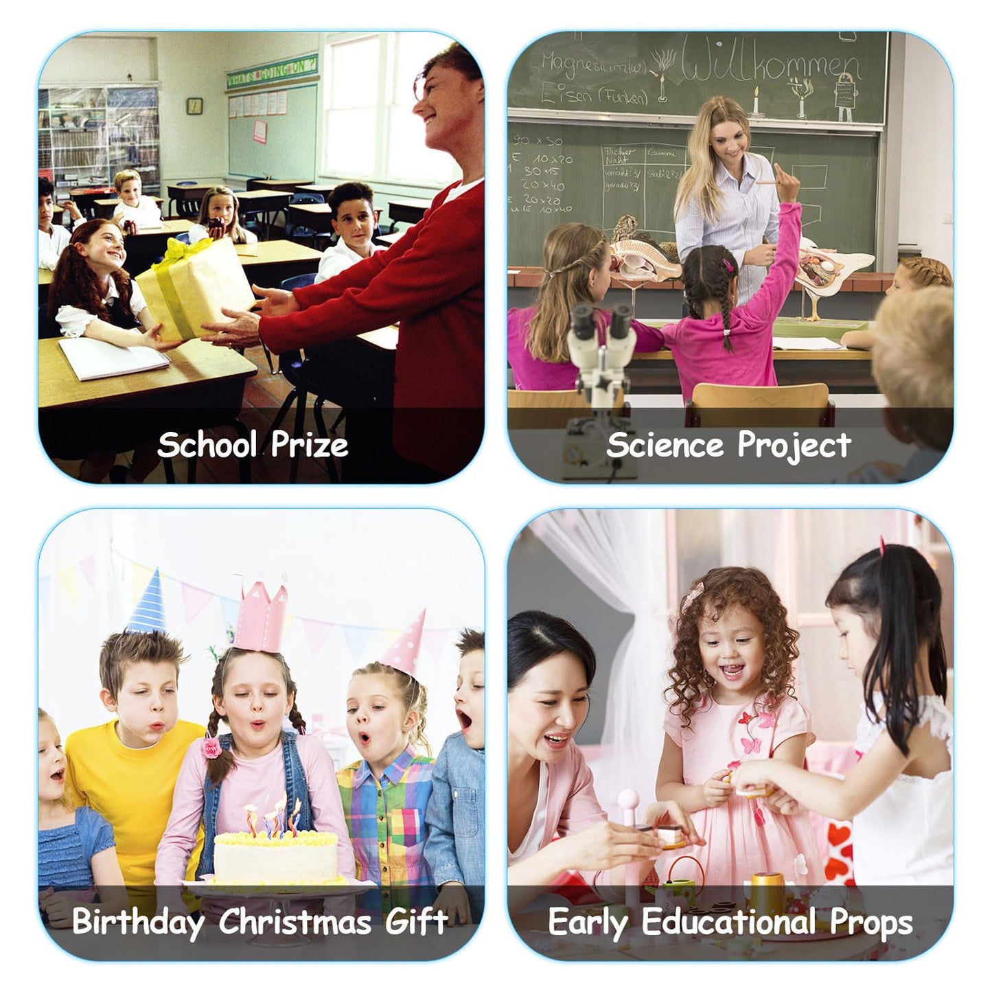 Jokfeice Ocean Sea Animal Toys, Realistic Mudskipper Fairy Garden Accessories, Learning Educational Toys For Christmas Birthday