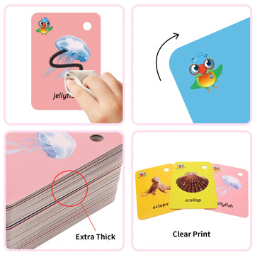 Kids Ocean Animal Flash Cards For Toddlers 2-4 Years,Toddler Marine Animals Flash Cards For Kids,Sight Words With Picture Cards