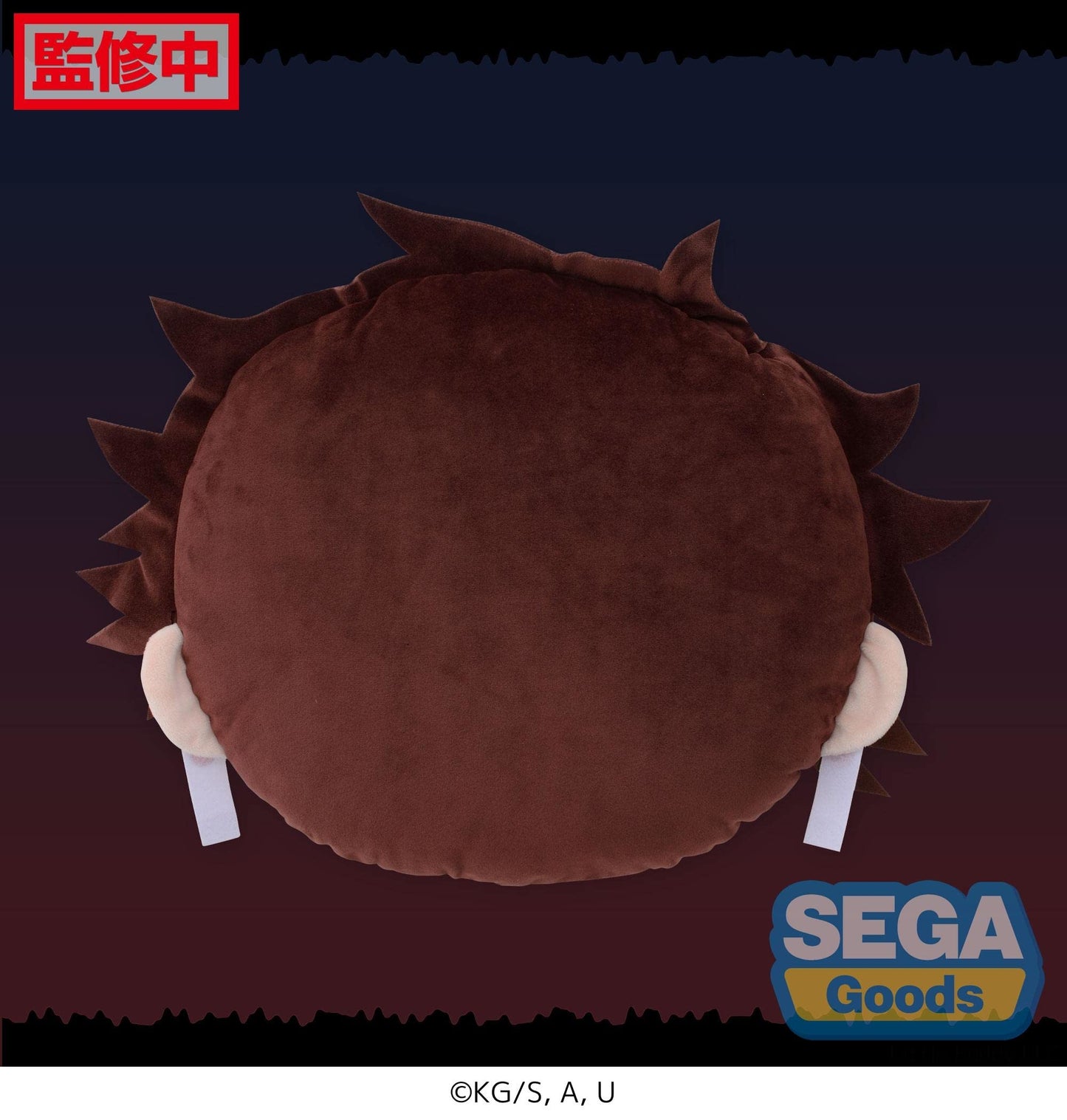 Demon Slayer: Kimetsu No Yaiba - Tanjiro Kamado Pm Interior Cushion