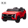 2 Seater Ride On Car For Kids 24V Electric Car Toy Toddlers Battery Powered Ride On Truck With 2.4G Remote Control, Full-Wheel S