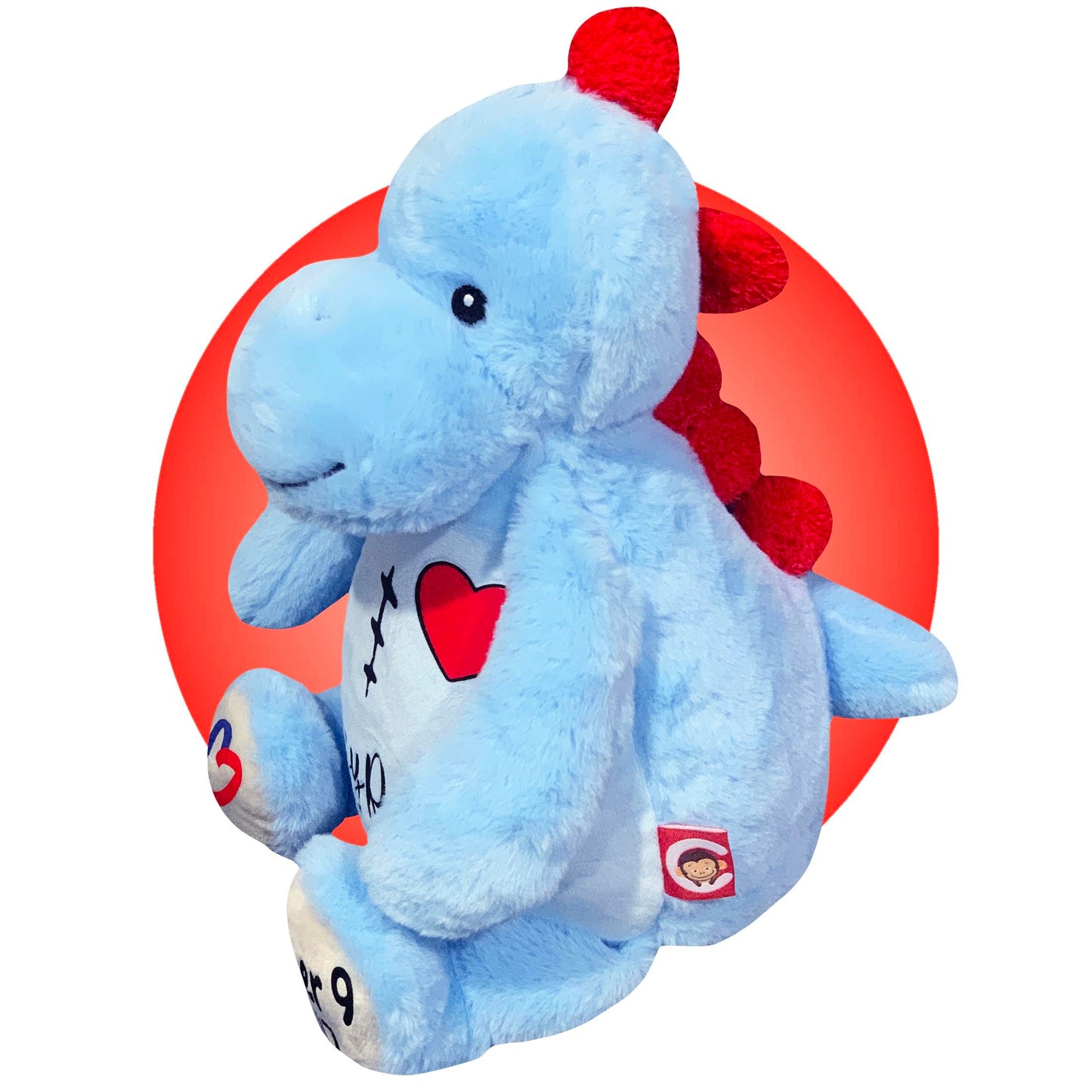 Personalized CHD Heart Warrior Teddy Bears - Surgery Teddy Bear Gifts - Gifts for kid having surgery - Custom Scar Buddy - Heart