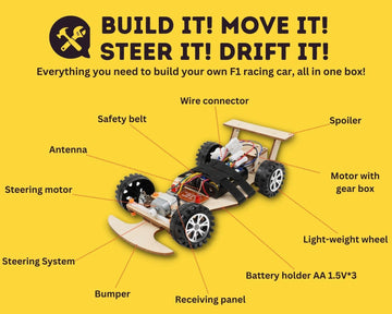 Pica Toys Wireless Remote Control Car Kit F1, Science Project Kit For Kids/Students/Education, Stem Project Model Car Kits To Build, Ideal Choice For Family And School