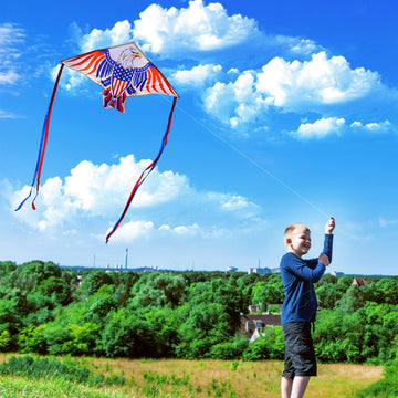 Xida Patriotic Eagle Kites For Kids & Adults, Bald Eagle Kite For Kids Ages 8-12, Easy To Fly Beginner Kite, Ideal For Independe