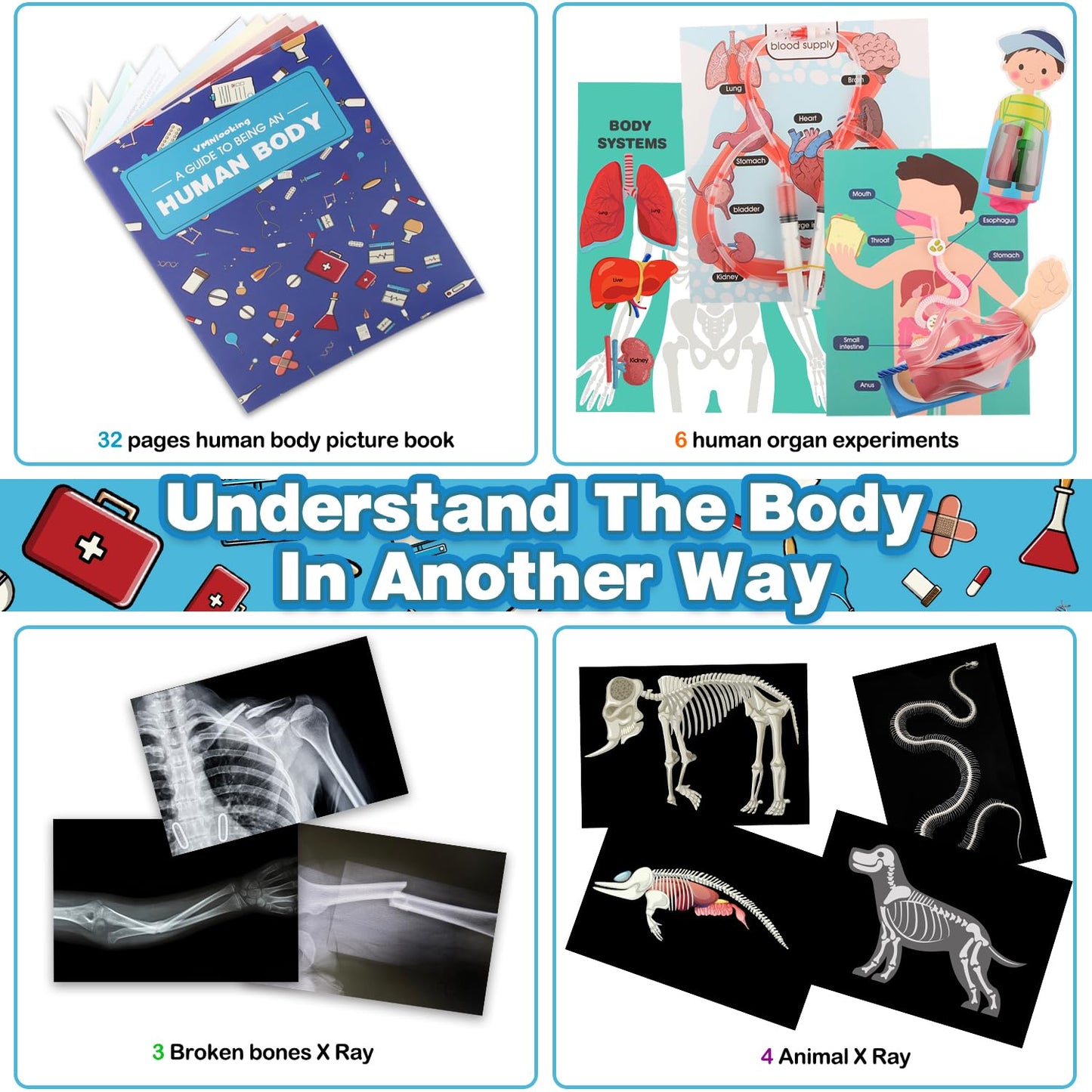 Human Body Activities & Experiments Science Kit For Kids,Human Anatomy Body Parts With Broken Bones X Ray,Lung Breathing Model,