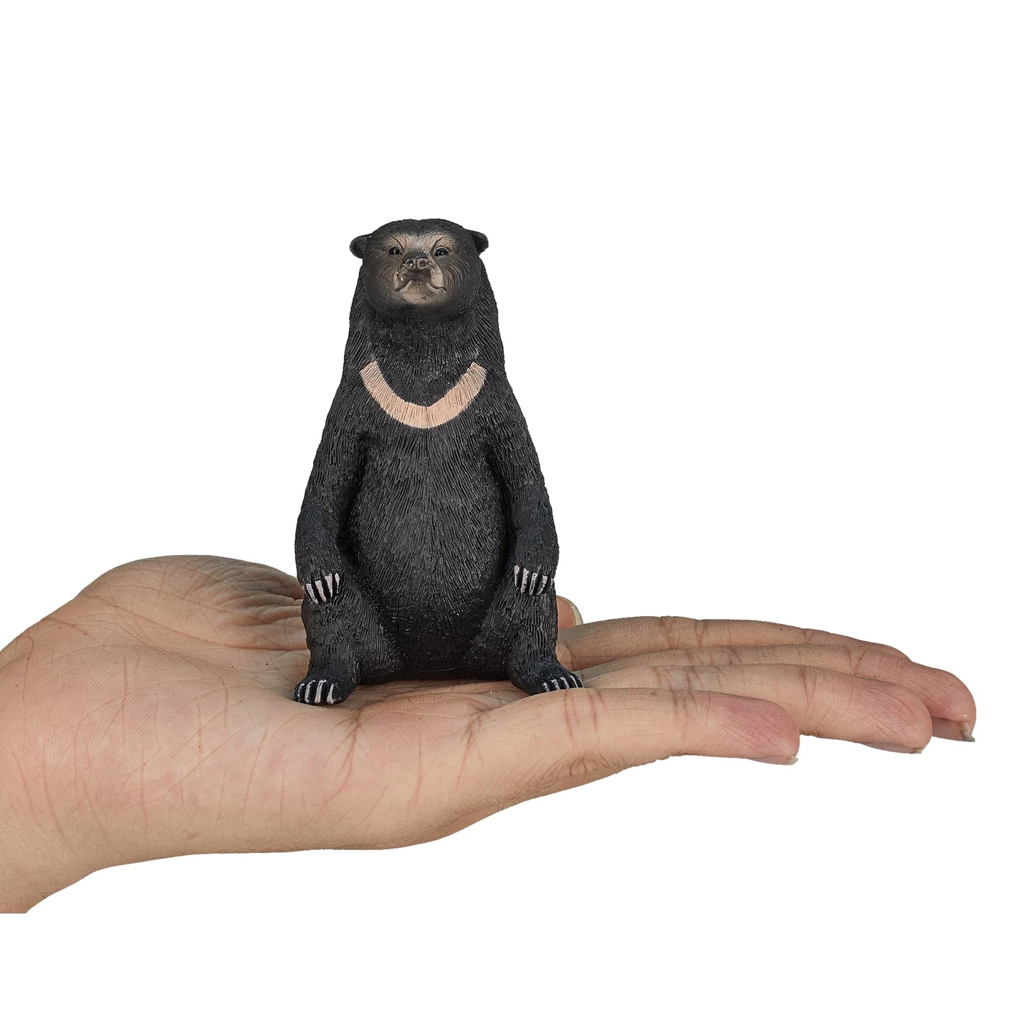 Mojo Sun Bear Realistic International Wildlife Hand Painted Toy Figurine