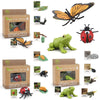 Montessori Life Cycle Learning & Education Toys, Plastic Insect Ladybug Monarch Butterfly Tadpole To Frog Kit Life Cycle Toys For Kids, Preschool Learning Activities For Toddlers