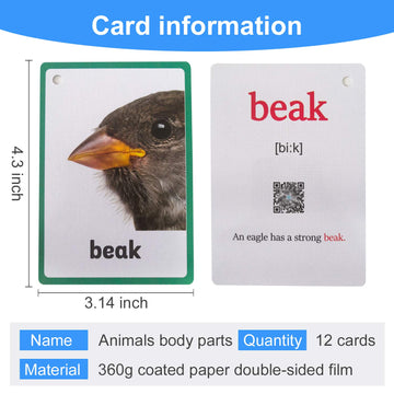 12Pcs/Set Animals Body Parts Kids Gifts English Flash Cards Pocket Card Educational Learning Baby Toys For Children Pre-Kindergarten