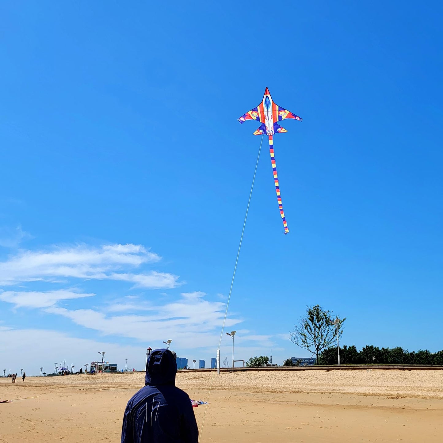 Mint'S Colorful Life Airplane Kite For Kids & Adults, Easy To Fly Plane Kite For Boys & Girls, Best Beach Kites For Beginners Wi