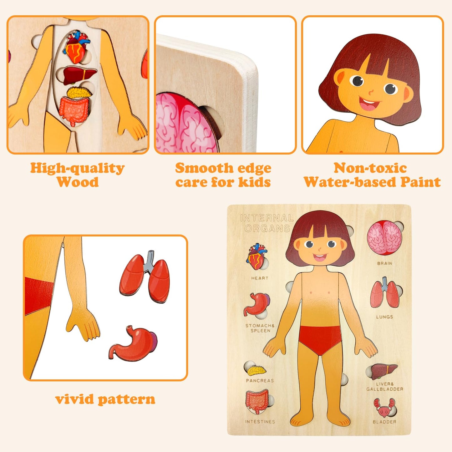 Wooden Body Puzzles for Kids, Toddler Montessori 14 Pieces Girl Anatomy Puzzle, Human Body Learning Toy with Internal Organs Ear