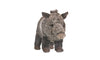 Wild Republic 12 Javelina Plush Stuffed Animal Toy - Grey Cuddlekins Gift for Kids