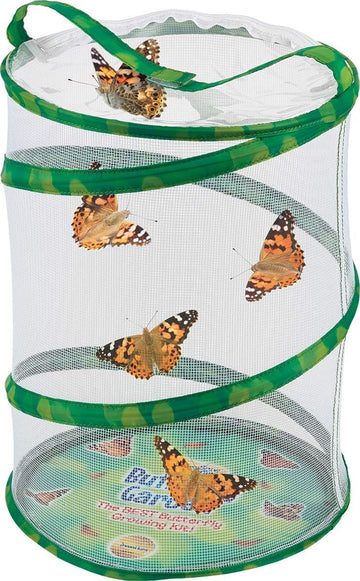 Insect Lore Butterfly Garden - 12 Habitat with Live Caterpillars | STEM Education Kit for Kids