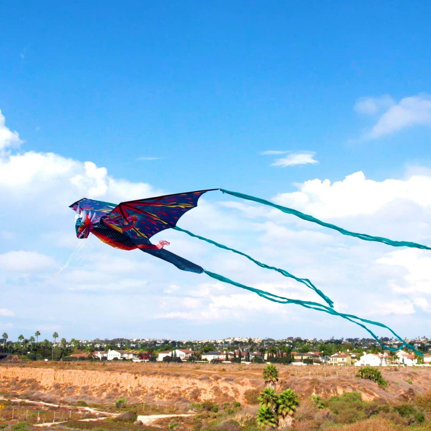 Windnsun Supersized Three-Headed Dragon 3D Nylon Kite, 76 Inches Wide