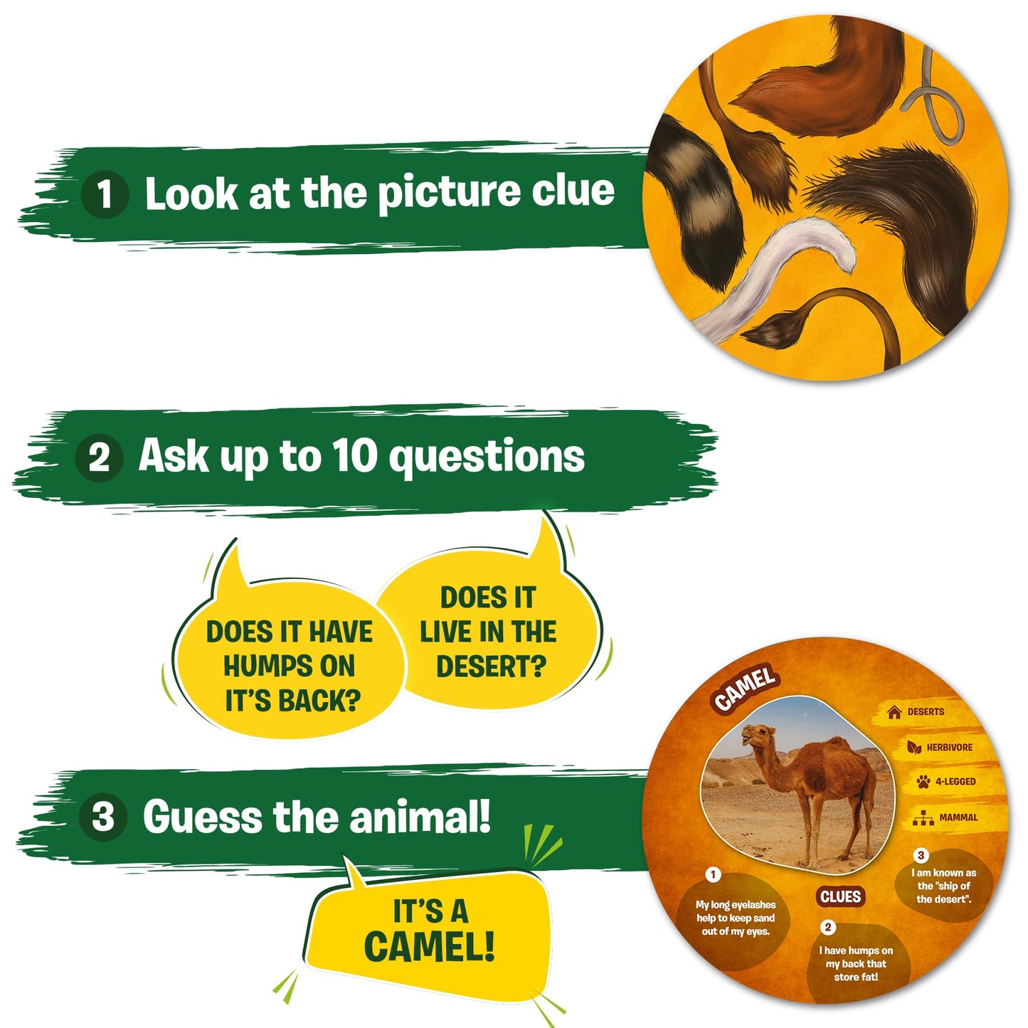 Skillmatics Guess In 10 Animal Picture Clues, Perfect For Boys, Girls, Kids, And Families Who Love, Card Games, Educational Games, Board Games, Gifts For Ages 6, 7, 8, 9 And Up