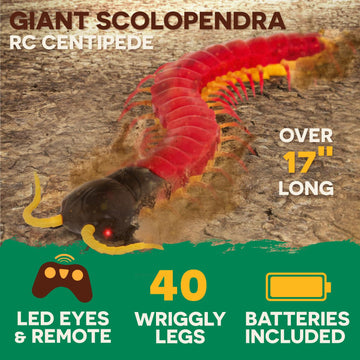 Terra by Battat - Remote Control Centipede Toy for Kids - RC Giant Scolopendra with LED Eyes - Electronic Arthropod Animal & Fas