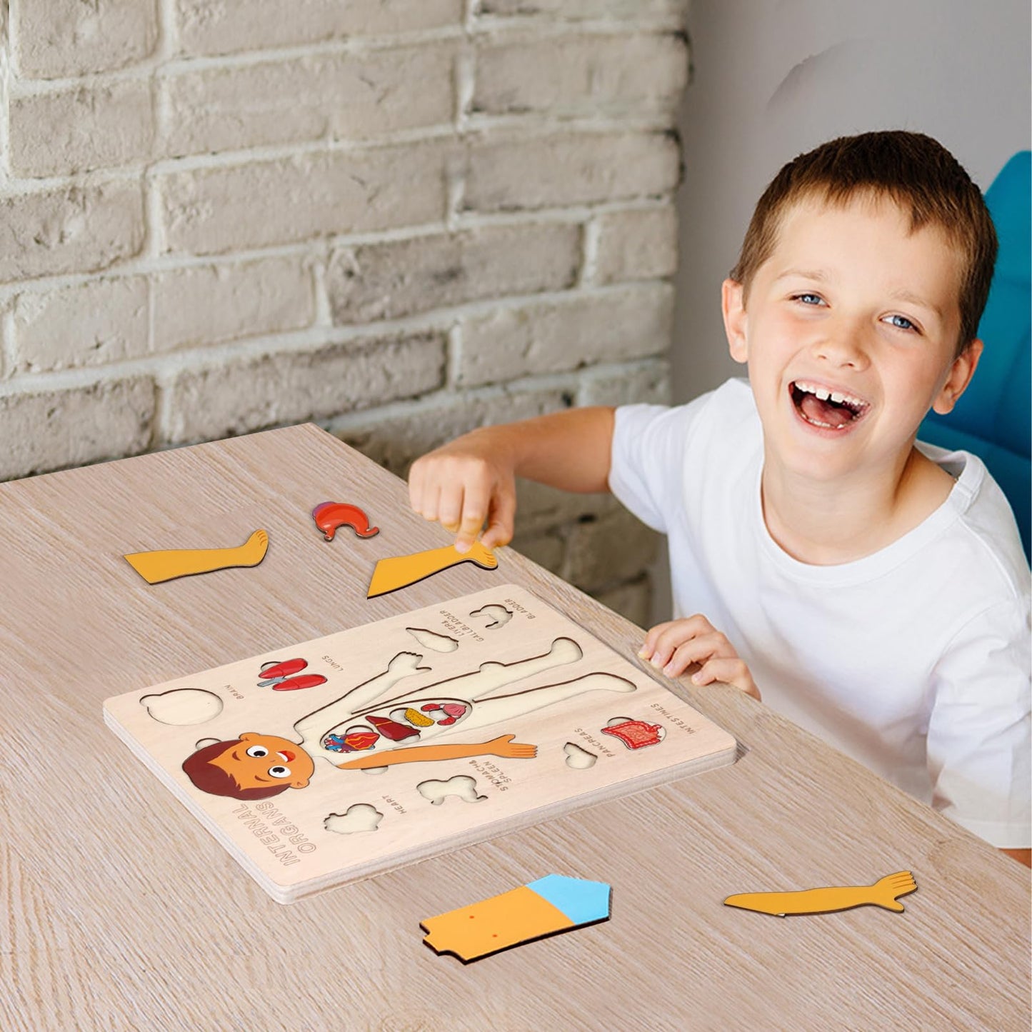 Wooden Body Puzzles For Kids, Toddler Montessori 14 Pieces Boy Anatomy Puzzle, Human Body Learning Toy With Internal Organs Earl