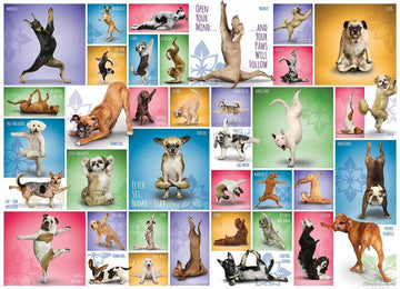 EuroGraphics Yoga Dogs 1000pc Puzzle - Cardboard, Blue, Model 6000-0954