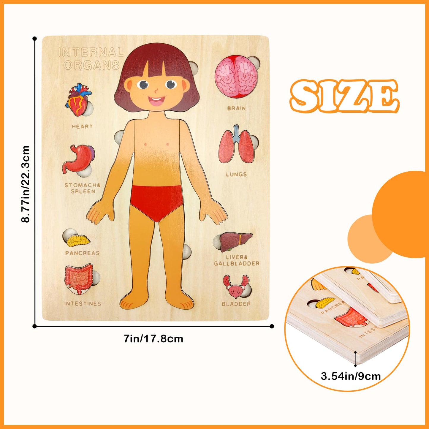 Wooden Body Puzzles for Kids, Toddler Montessori 14 Pieces Girl Anatomy Puzzle, Human Body Learning Toy with Internal Organs Ear