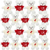 Hungdao 18 Pcs Valentines Day Bear Stuffed Animal Bear Plush Toys 10.83 Inch Soft Cute Animals for Girlfriend Birthday Wedding