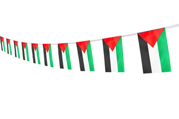 Kind Girl Palestine Flag Palestinians Flag,100Feet/76Pcs National Country World Pennant Flags Banner,Party Decorations Supplies