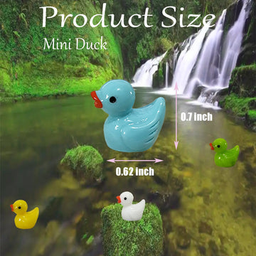 HAMIYELL Pack of 36 Multicolored Mini Resin Ducks for Garden, Dollhouse, Crafts Decor - Tiny Plastic Duck Ornaments
