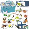 Life Cycle Learning Toys For Kids: Life Science Education Kits With Butterfly, Frog, Chicken, Mantis, Bee, Plants - 25 Pieces Animal Figurines Montessori Toys For Children Age 3 4 5 6 7 8+