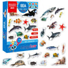 Fridge Magnets For Toddlers - 30 Sea Photo Kids Magnets For Fridge - Toddler Magnets For Refrigerator - Magnetic Animals - Fridge Magnets For Kids - Animal Magnets - Toddler Fridge Magnets