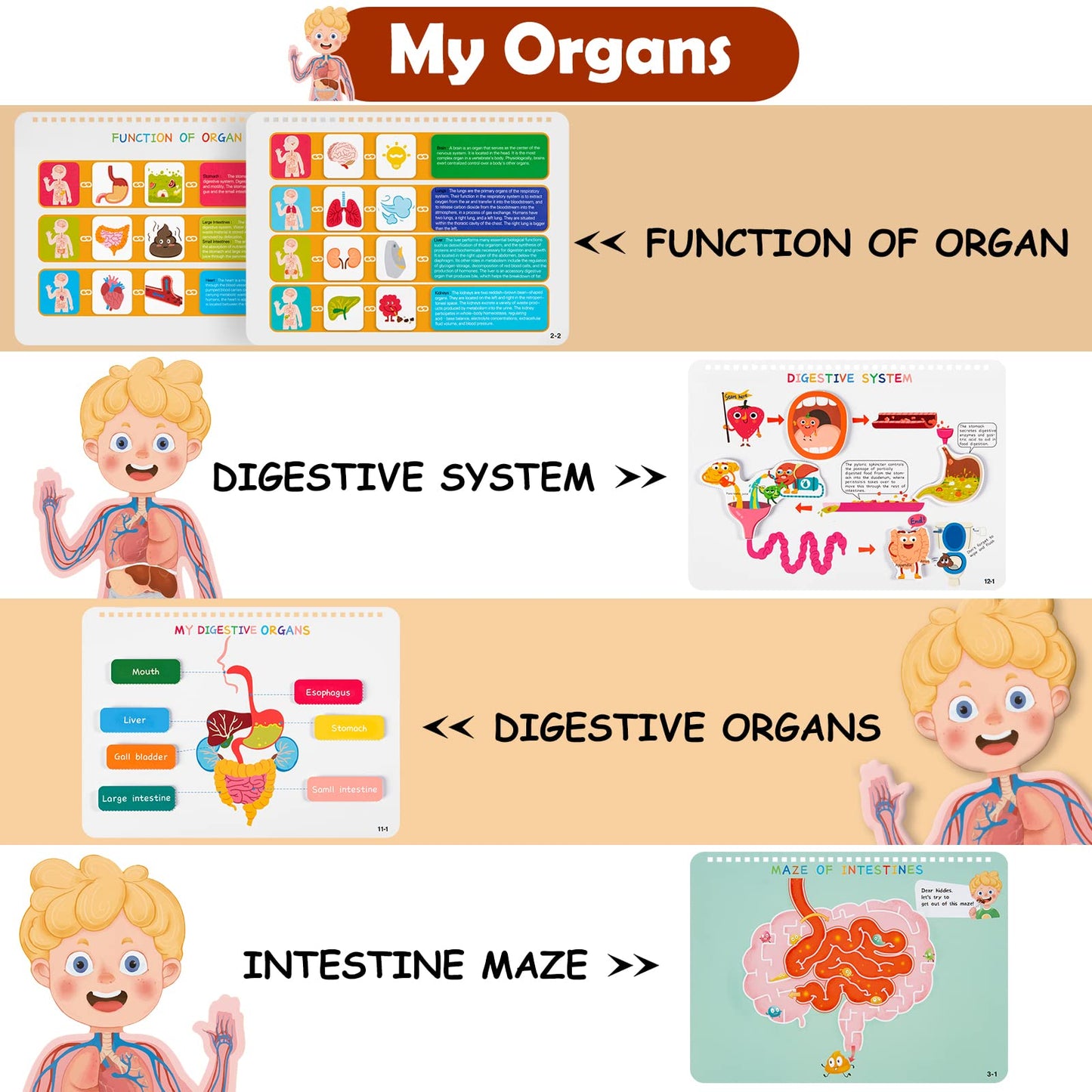 Freebear Montessori Busy Book For Kids, Human Body Anatomy Book For Toddlers, Preshool Kindergarten Learning Activities, Autism Sensory Toys, Travel Toys, Gifts For Girls And Boys 4 5 6 7 8 Years