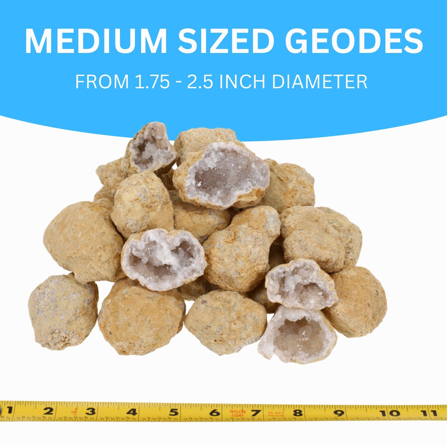 Truenergy Medium Break Your Own Geodes 20 (1.5 -2.5'') Premium Easy To Open Geode With Crystals - Includes Magnifying Glass An