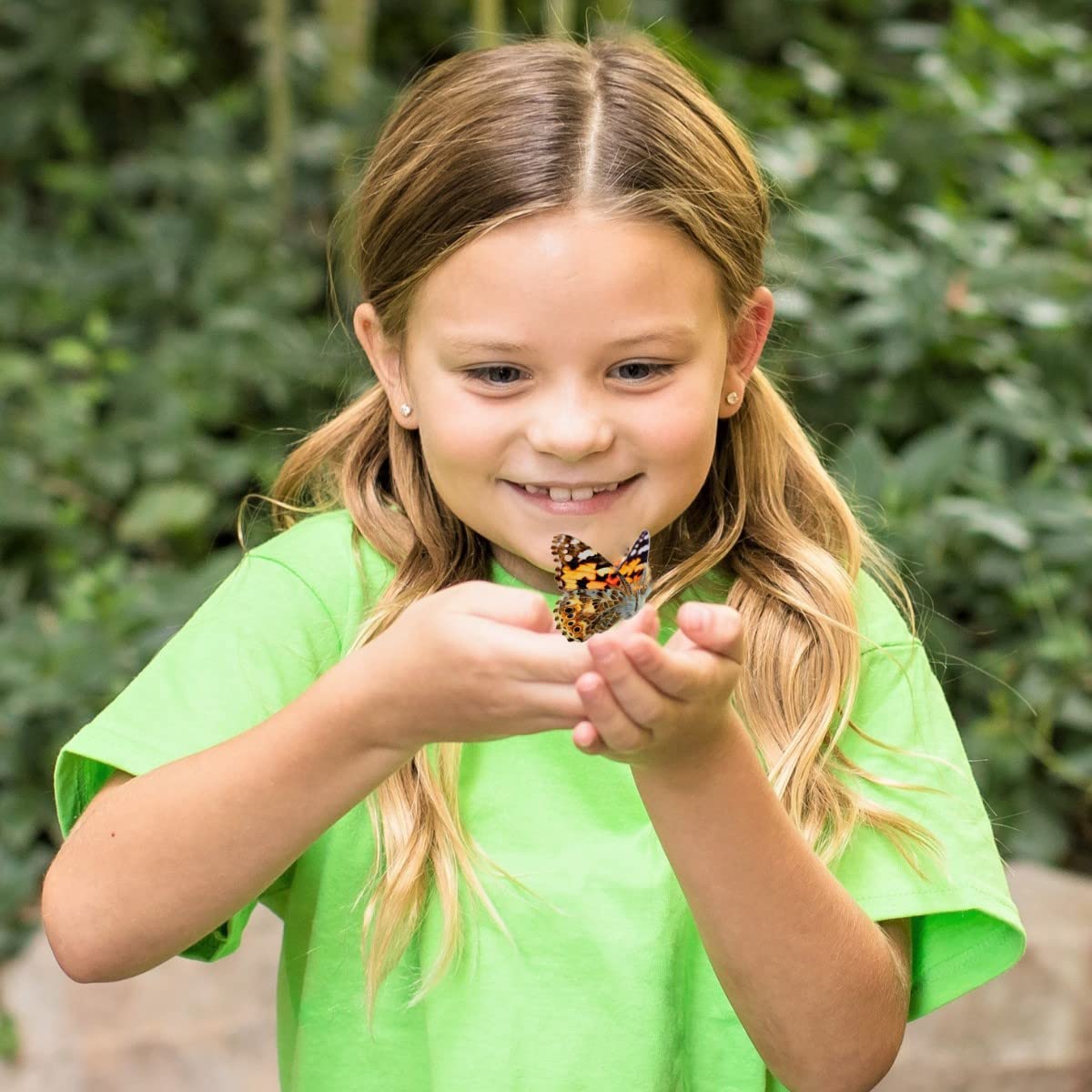 Insect Lore Butterfly Garden Gift Set | 8' Habitat With Live Cup Of Caterpillars | Stickers And Extras Included | Life Science & Stem Education Kit | Grow Painted Lady Butterflies