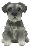 Ebros Realistic Miniature Schnauzer Puppy Statue 5.75' Tall Animal Dog Collectible Lifelike Schnauzer Figurine Decor