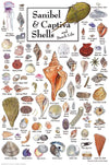 Heritage Puzzle 550-Piece Shells of Sanibel & Captiva - 18"x24" Cardboard Coastal Nature Art by John & Jackie Leatherbury Douglass