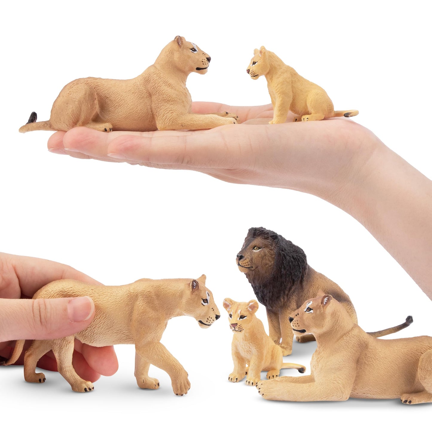 Toymany 6Pcs Realistic Lion Figurines With Lion Cubs, 2-5'' Jungle Animals Figures Family Set Includes Baby Lions, Educational T