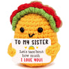 Sister Birthday Gifts from Sisters Christmas Big Sister Gifts for Girls mature-themed Little Best Sister in Law Work Bestie Friend Thinking of You Thanksgiving Christmas Wedding Mothers Day Present Cute Taco