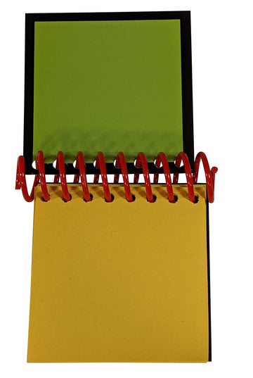 Handcrafted Handy Dandy inspired Notebook with 120 clue stickers and 1 black crayon STEVE